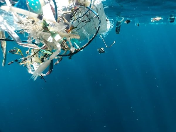Come ridurre l'inquinamento da plastica negli oceani e nei fiumi?